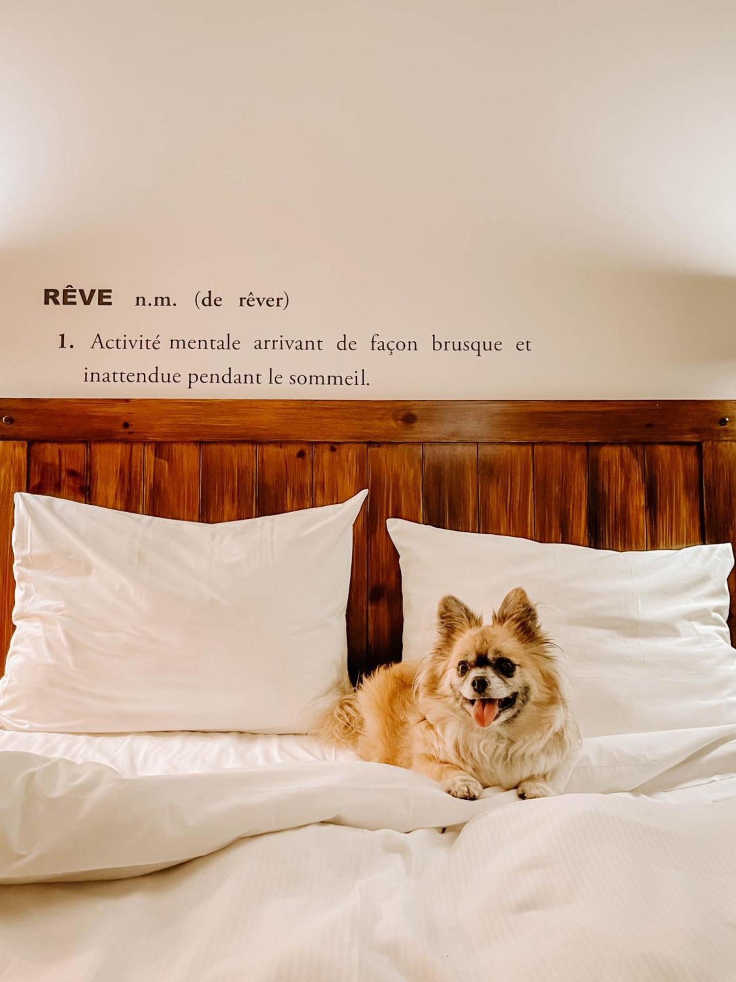 Auberge Du Lac Taureau แซ็งต์-มิเชล-เดส์-แซ็งส์ ภายนอก รูปภาพ