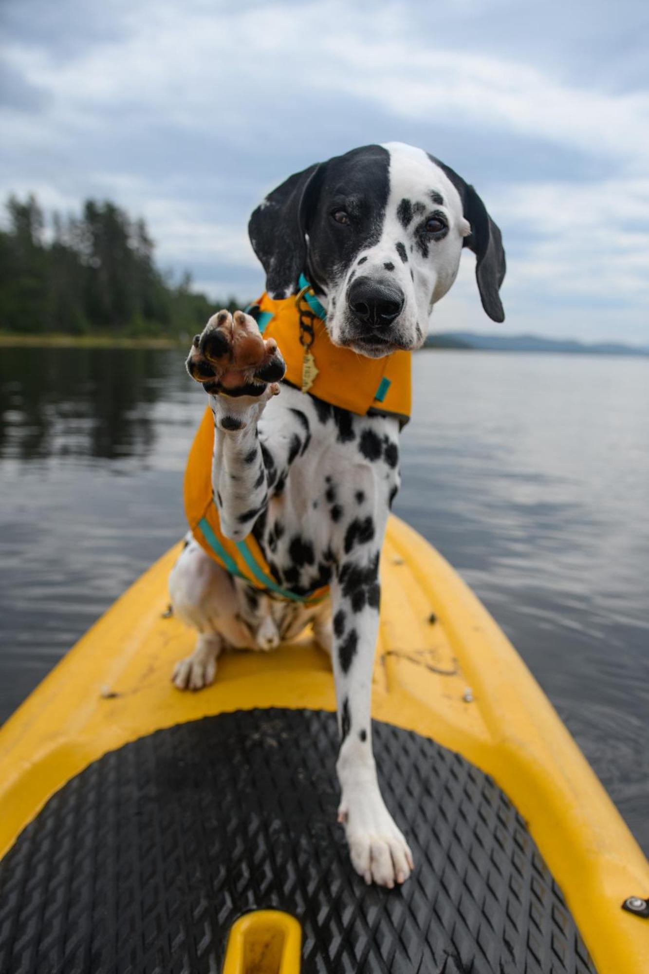 Auberge Du Lac Taureau แซ็งต์-มิเชล-เดส์-แซ็งส์ ภายนอก รูปภาพ